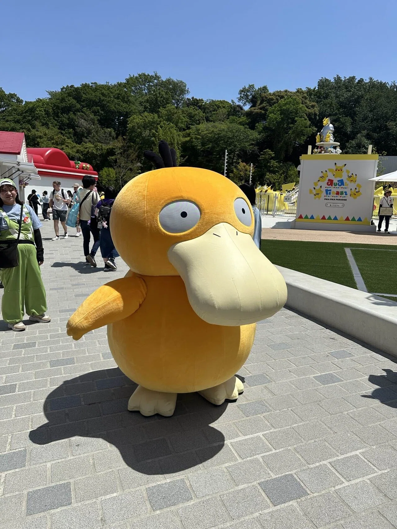 超レア！　ポケパーク　コースター ポケパーク 解説&レポート｜シトロン