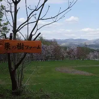 サクラダ