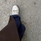 旅するらくだ