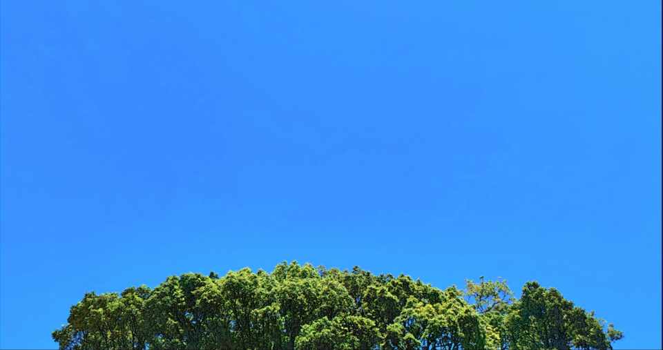 昼休みウォーキング限界間近 Yukiko Note