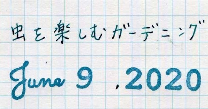 手乗りイモムシ 画像あり Hitaki Note 手乗りイモムシ 画像あり Hitaki Note
