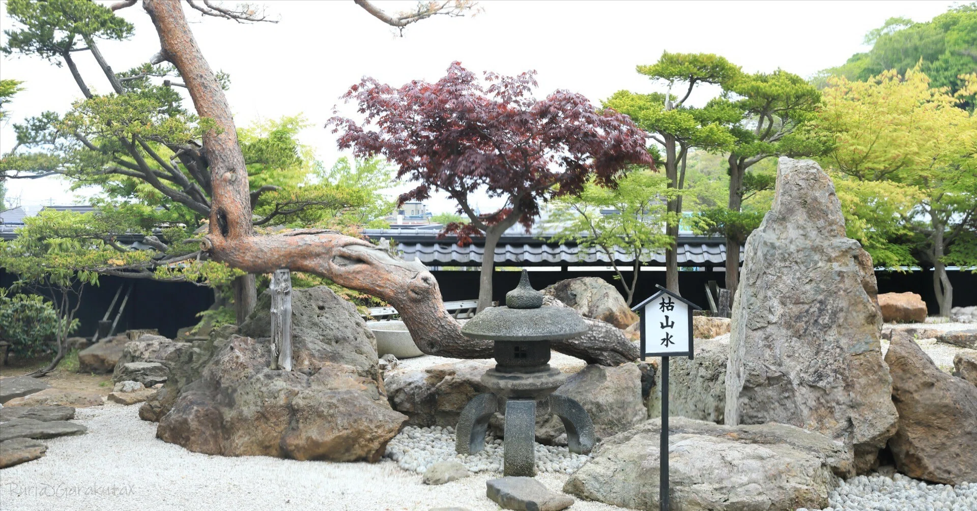 枯山水｜るり˙ᴥ˙