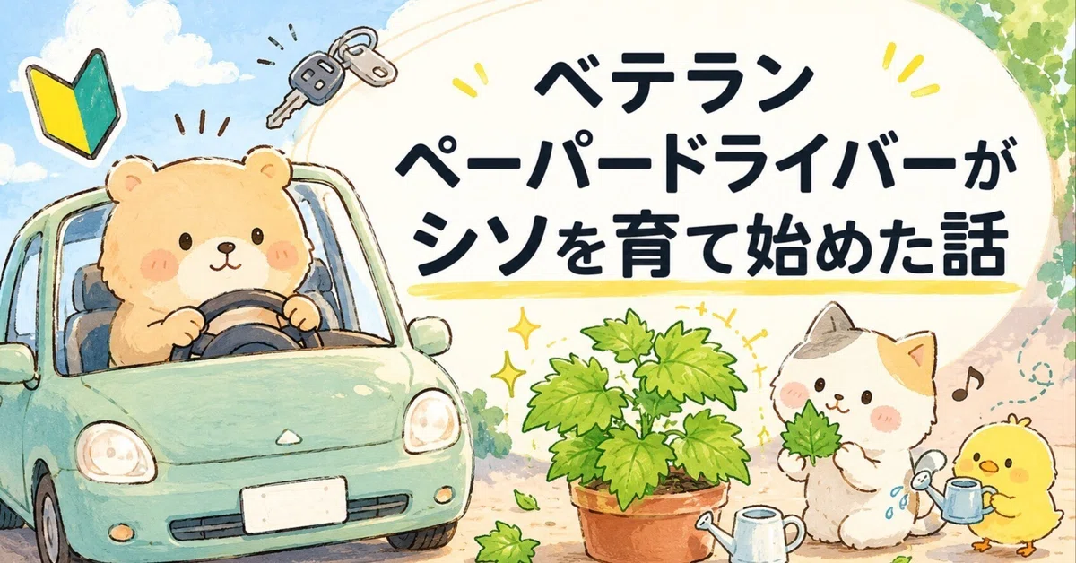 見出し画像