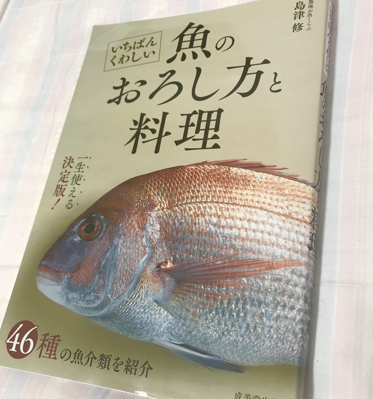 魚が上手に捌けるようになりたい Eccomiyumikko Note 魚が上手に捌けるようになりたい Eccomiyumikko Note