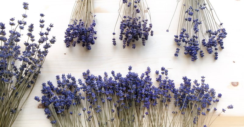 時間はやってくるものだよ 映画 時をかける少女 20200609 日記 コダカシュウジ note