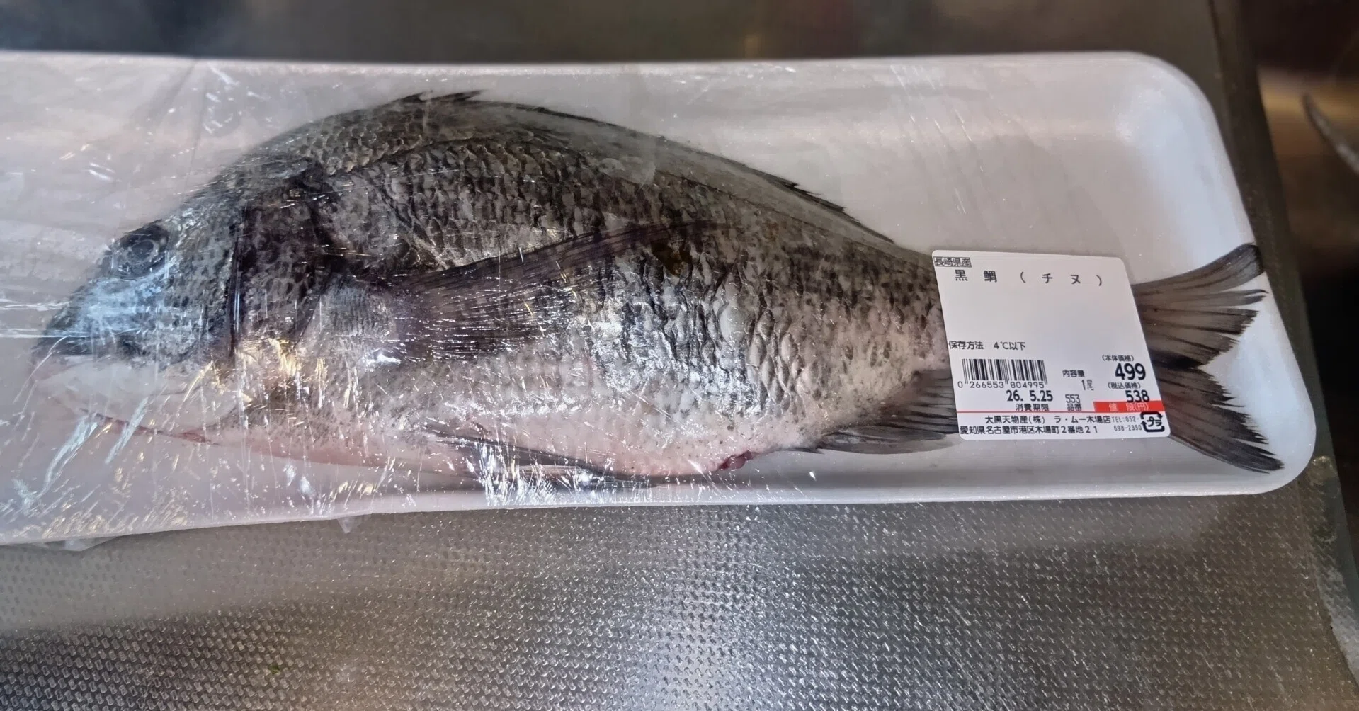🐟🍣寿司日記・第22回（ 黒鯛＝チヌを捌く）｜鉄ヲタ寿司職人