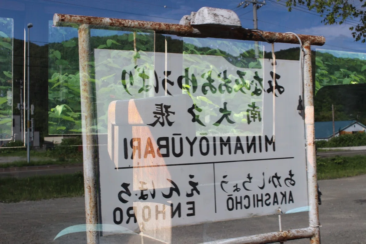 画像15