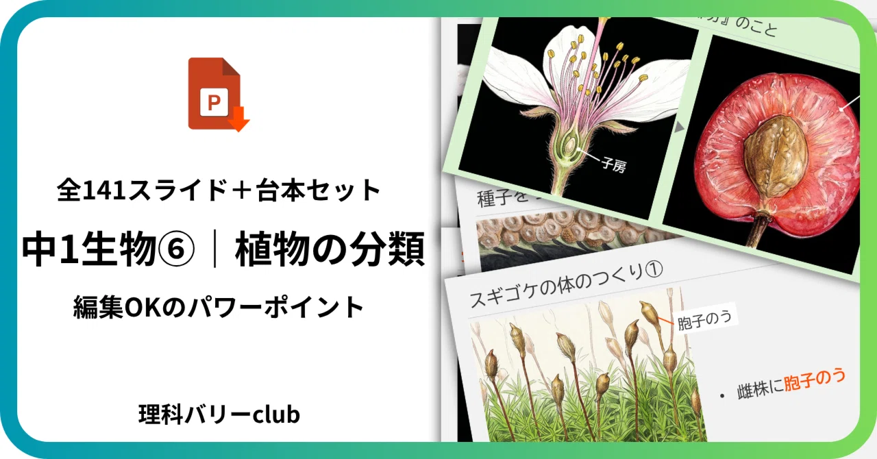 【中古】植物分類学〈種子植物〉 (1966年) 中1生物⑥】植物の分類‣完全網羅パワポ全7セット/授業台本PDF付｜理科