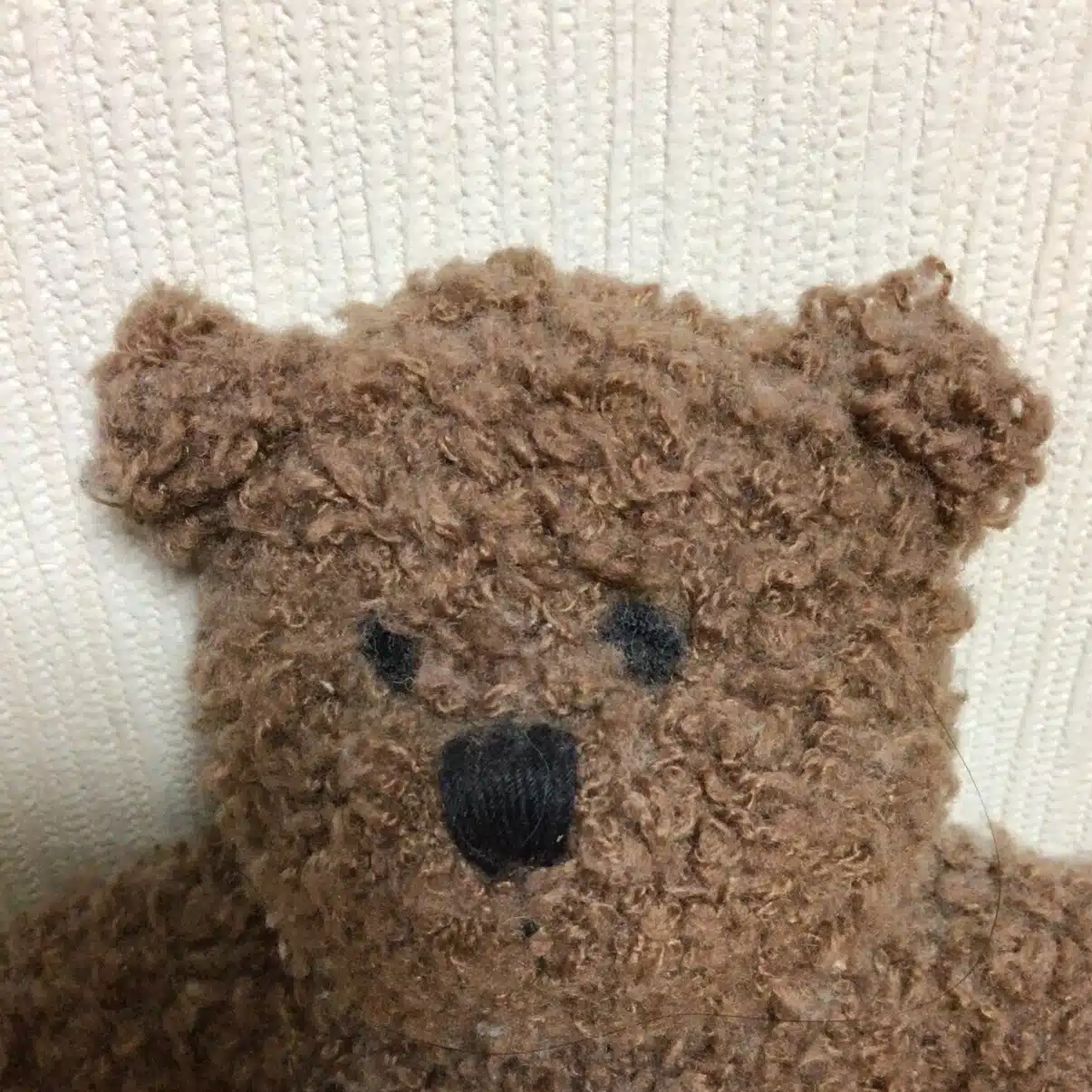 くま吉くま太