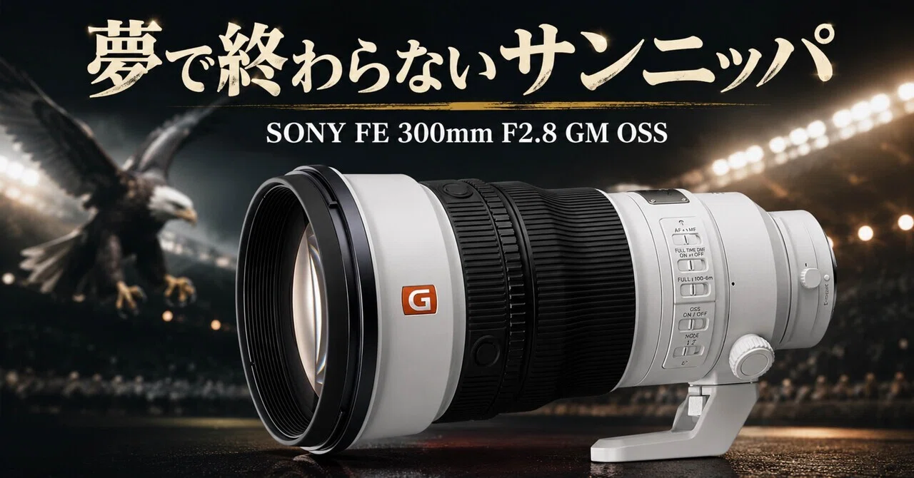 The SONY FE 300mm F2.8 GM OSS is too expensive. But for those