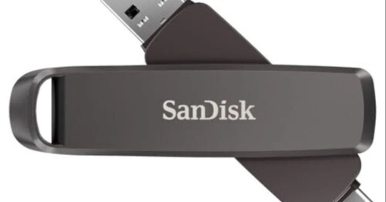 SanDisk外付けSSD 2TBレビュー｜端子と持ち運びで見る選び方｜ゴッド