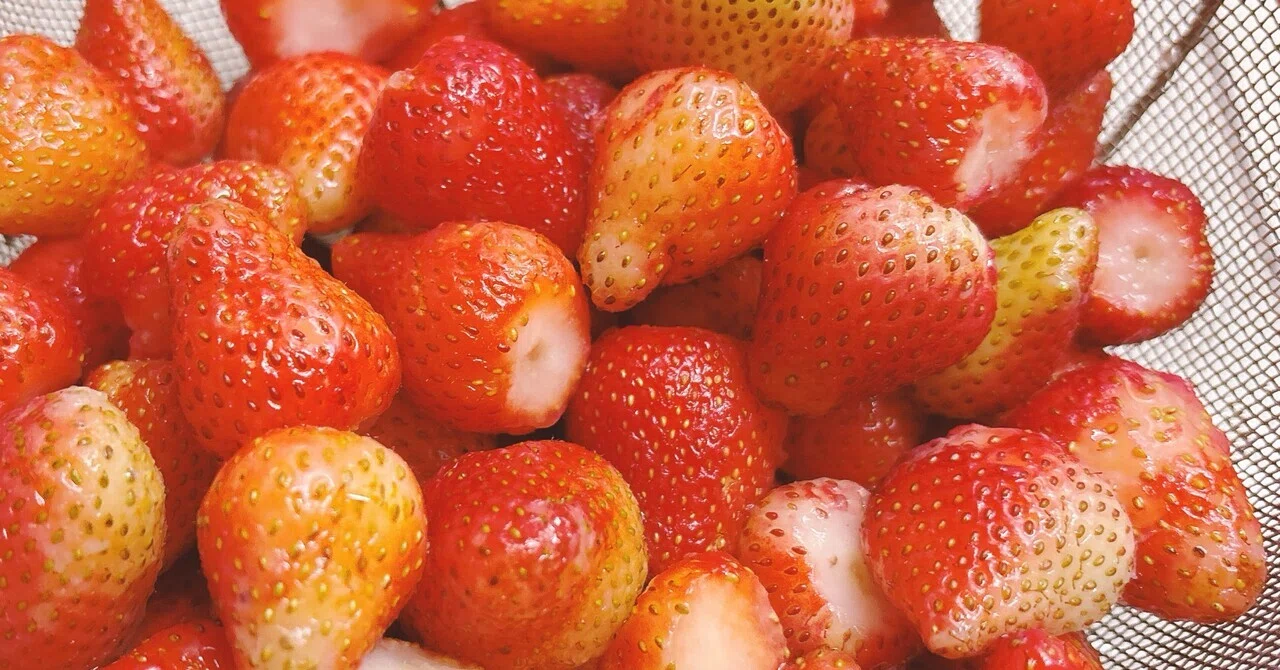 苺のツブツブは種ではない⁈最近のいちごは品種改良で🍓ツブツブが