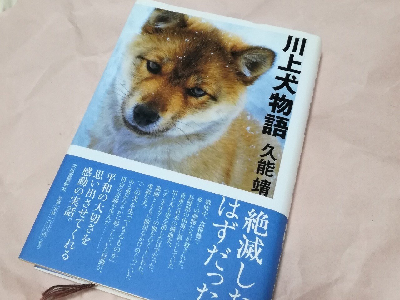 川上犬物語 暁美家 譽 Note 川上犬物語 暁美家 譽 Note
