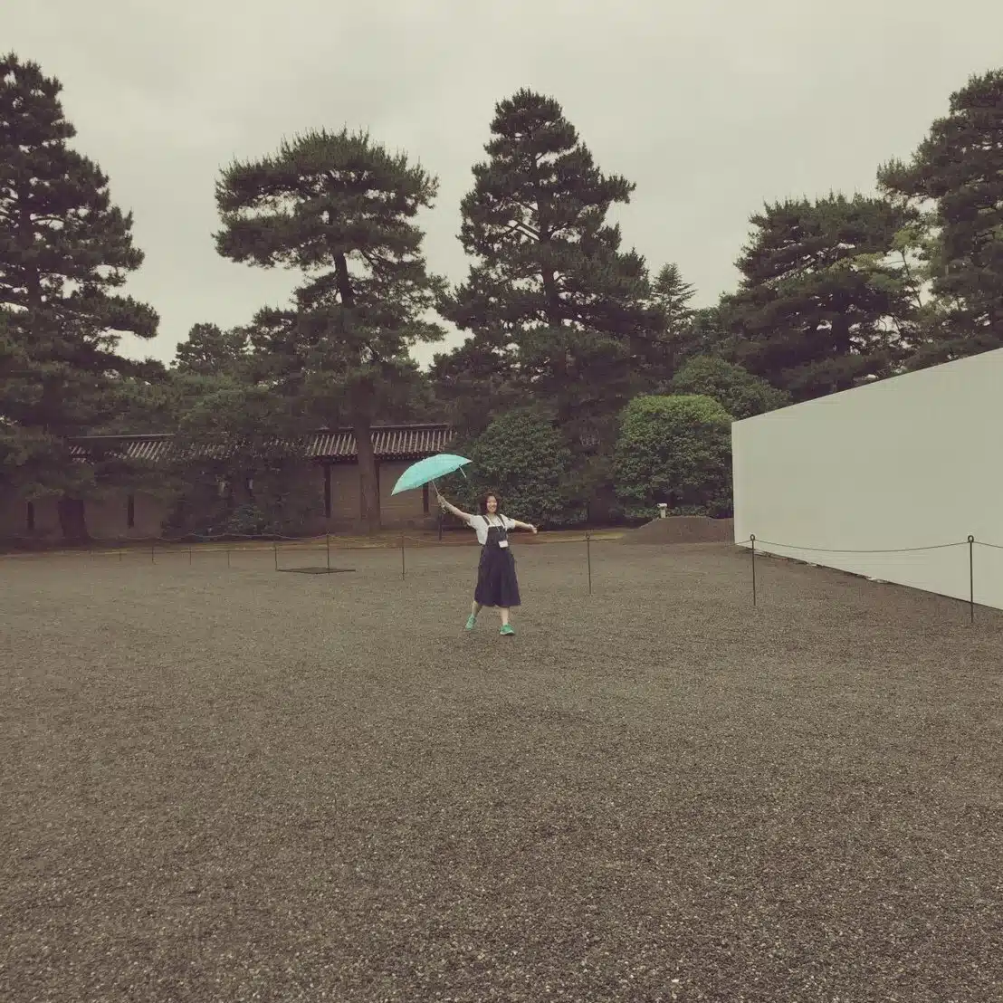 け
