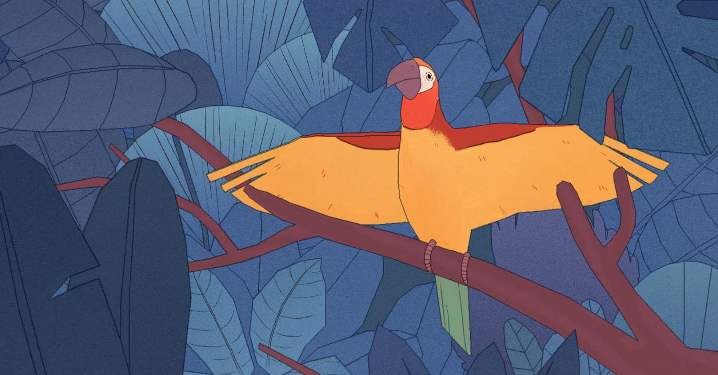 Bird Alone」鳥好き、哲学好きにおすすめ、人生の有様を深く考える 