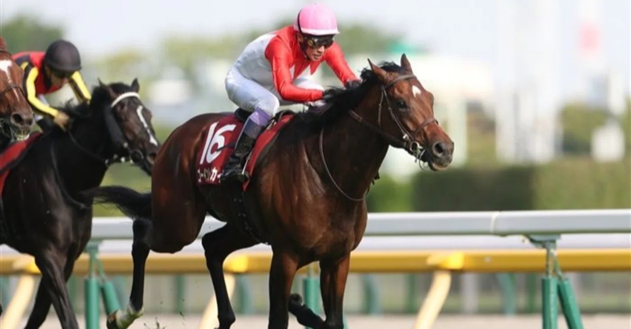 有力馬紹介】日本ダービー（東京優駿）2026：競馬の祭典！無敗の二冠か