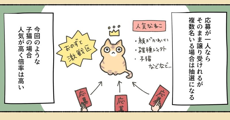 保護猫ちゃんを家にお迎えするまでの話8