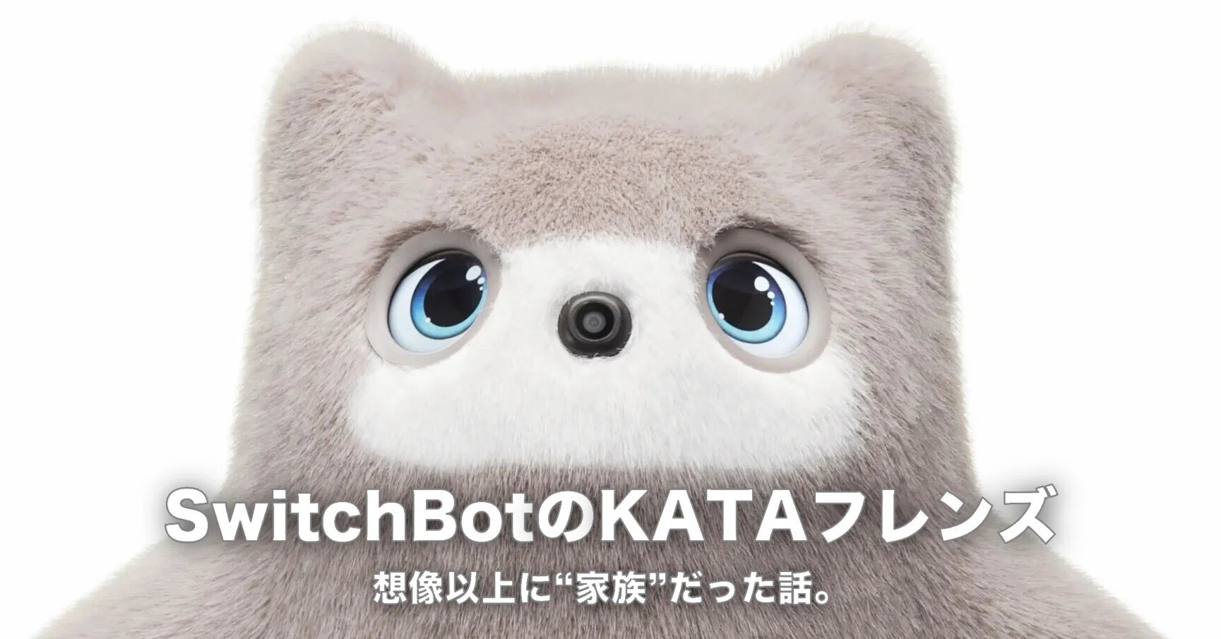 レビュー】KATAフレンズの「ニコちゃん」が、想像以上に“家族”だった話