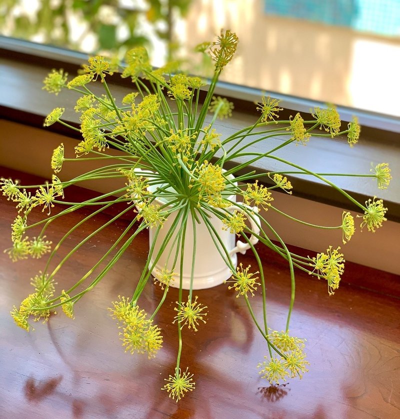 Edible Garden 庭を食す フェンネル編 ニシヤマミュ Note