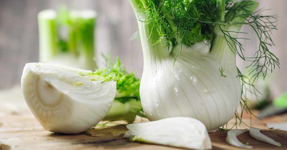 Edible Garden 庭を食す フェンネル編 ニシヤマミュ Note