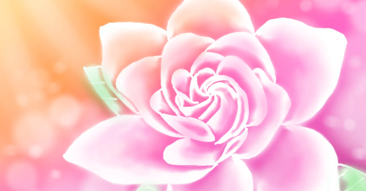 八重咲きクチナシの花の下絵｜にいぬま れい子 ／ れー夢式パステル