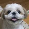 懲りないおじさん