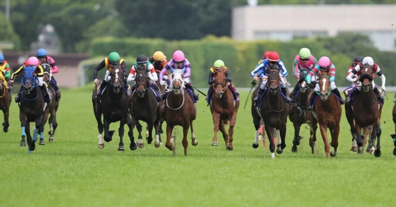 競馬】オークスでジュウリョクピエロと今村聖奈騎手に感動した話【日記