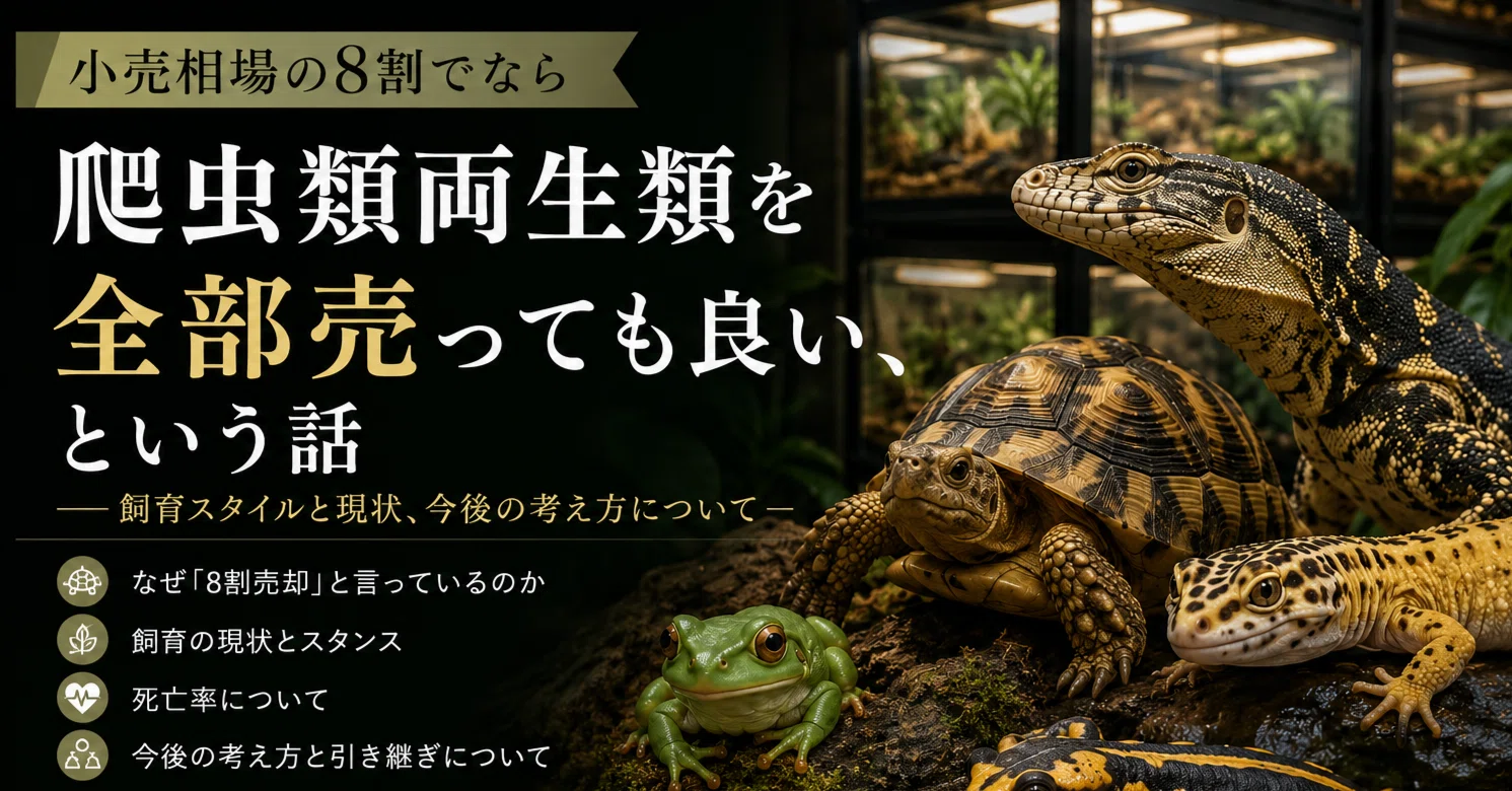 小売相場の8割でなら爬虫類両生類を全部売っても良い、という話｜うさ