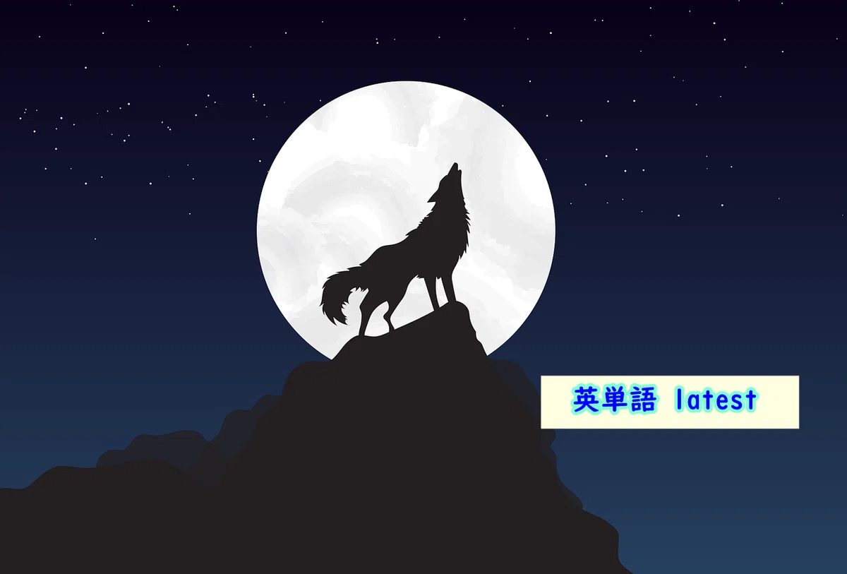 画像6