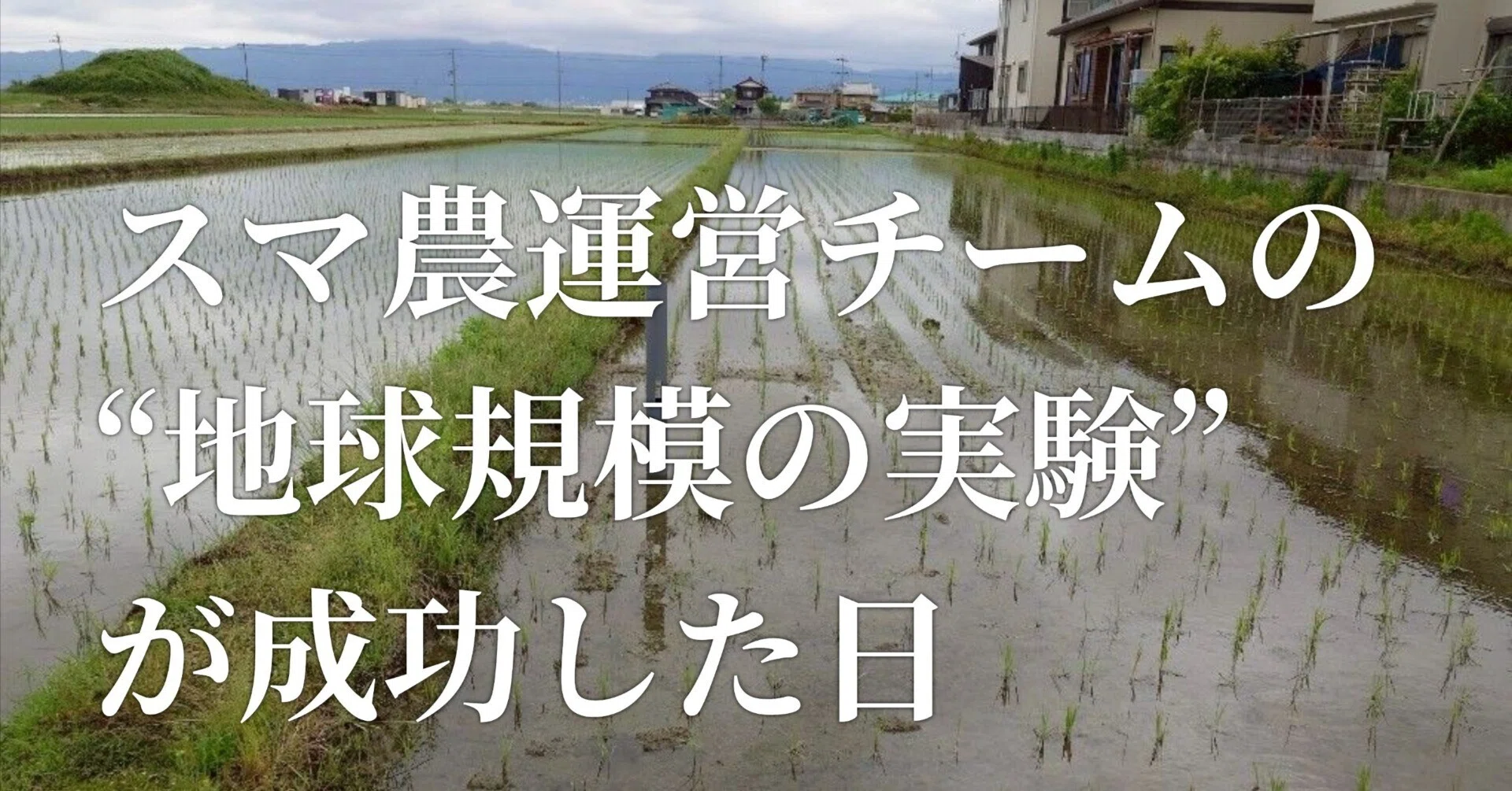 田んぼページ 現地取材／南国セブ島から滋賀県草津の田んぼに遠隔で水やり