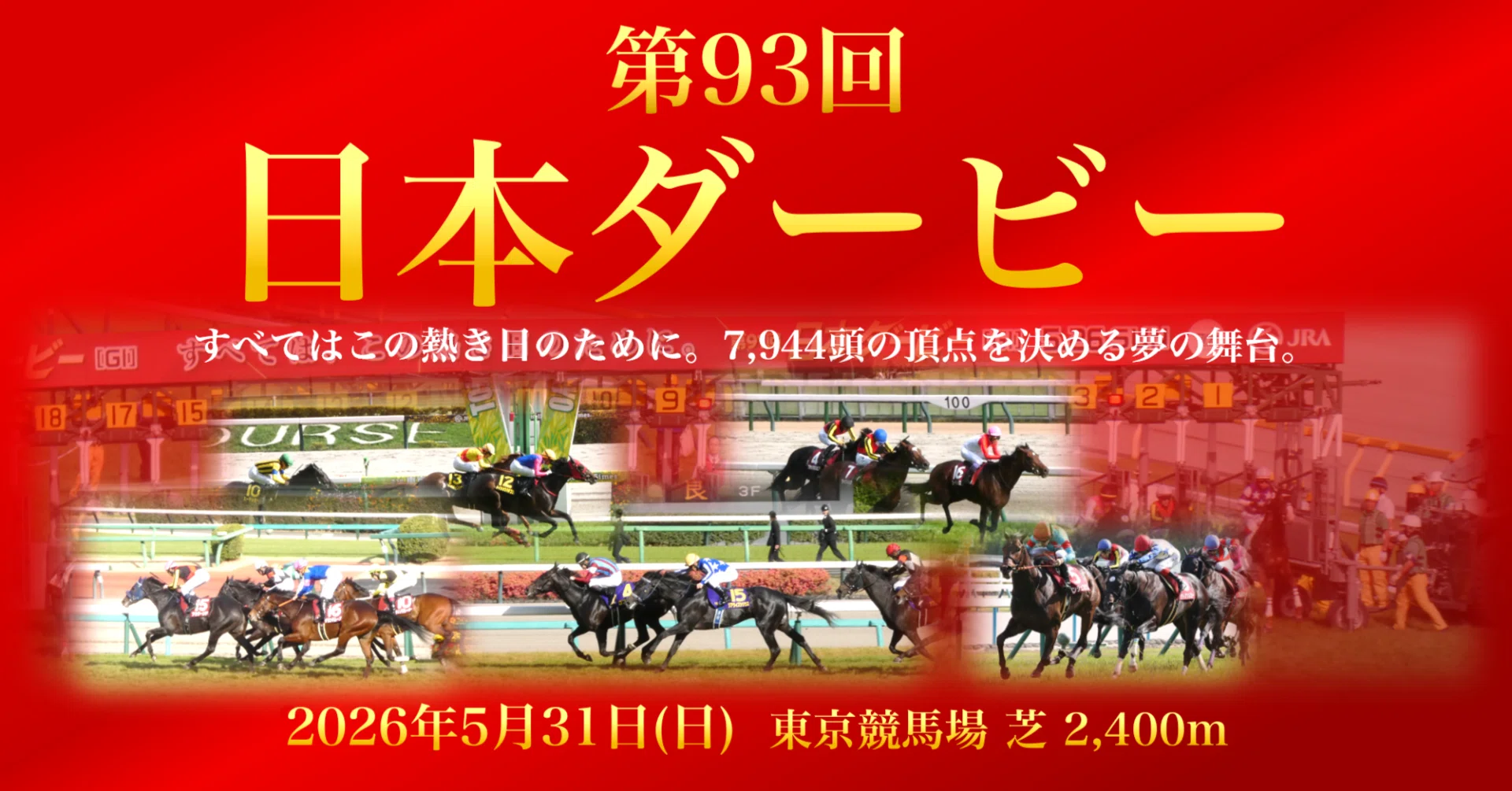 日本ダービーを考える 2026年版｜TSUBA