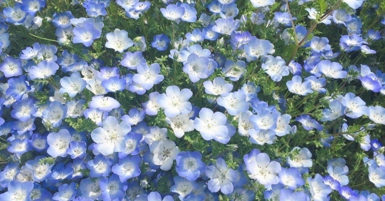 私にとっての韓国ドラマは 毎日をささえてくれたビタミン剤 Usapon Note