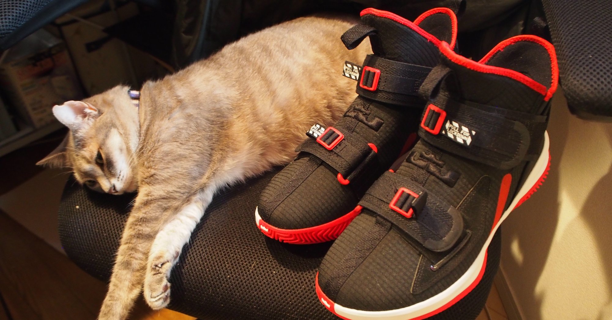 新品のバッシュを外で履く 夏目 義徳 Note 新品のバッシュを外で履く 夏目 義徳 Note