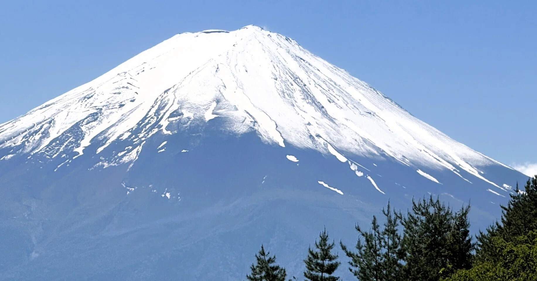 河口湖 富士の杜に寛ぐ休日 ～新緑と美食、富士山を愛でる旅