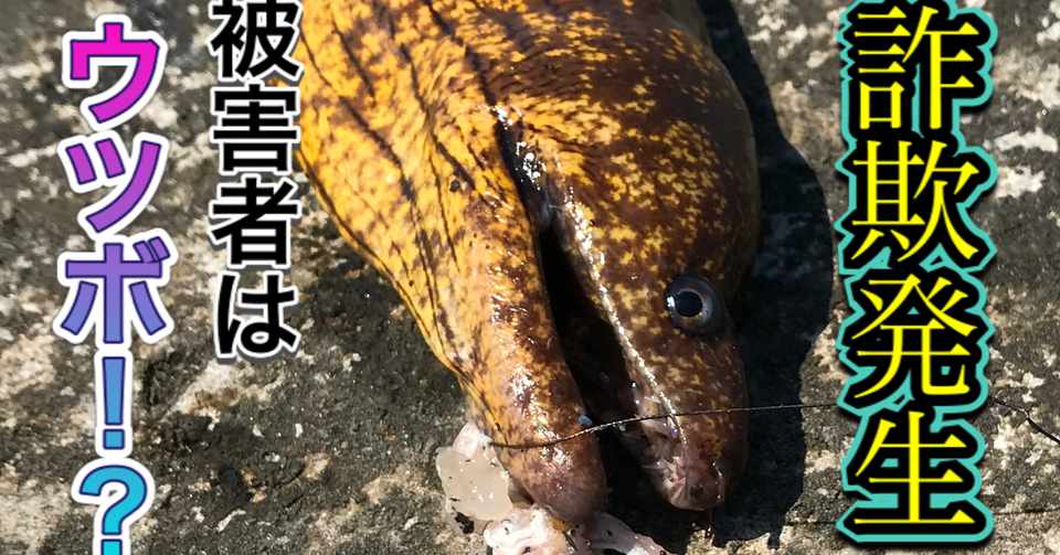 3分でわかる ウツボ 釣り 山阿呆の大学生 Note