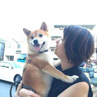柴犬おいなりのyoutubeです 柴犬おいなりの健康手作りごはん Note