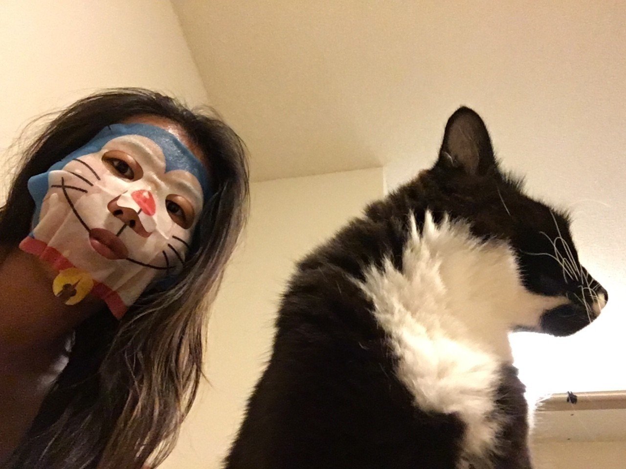 ドラえもんパックでネコたちとセルフィーをとる Aki ハワイネコブログのひと Note ドラえもんパックでネコたちとセルフィーをとる Aki ハワイネコブログのひと Note