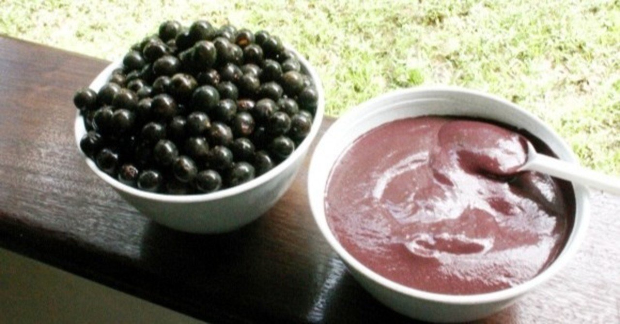 アサイーの糖質とカロリーが1秒でわかる ダイエット向き 糖質制限ダイエットshiru2 Note アサイーの糖質とカロリーが1秒でわかる ダイエット向き 糖質制限ダイエットshiru2 Note