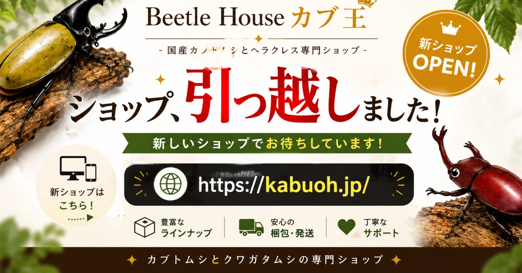 ご報告】Beetle House カブ王 公式ショップが自社ドメインへ移転しま