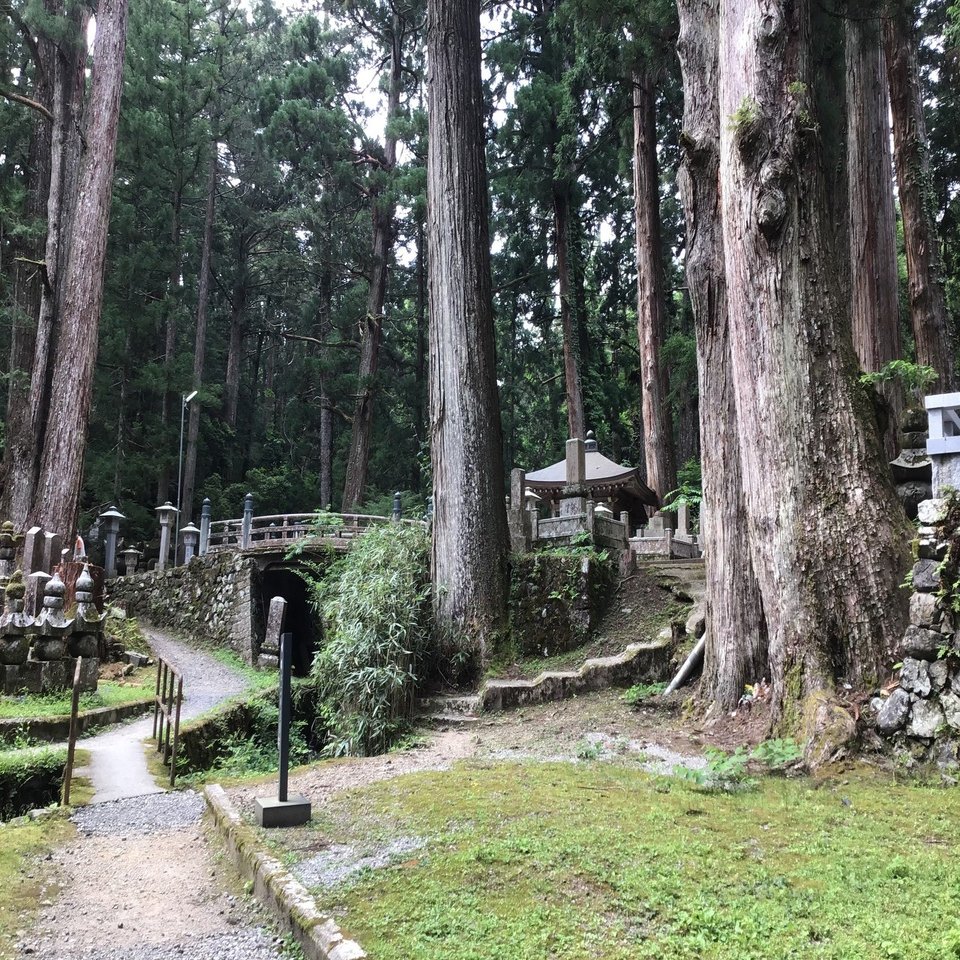 高野の七不思議｜高野山法徳堂/空海と高野山の魅力を独自の視点で伝え