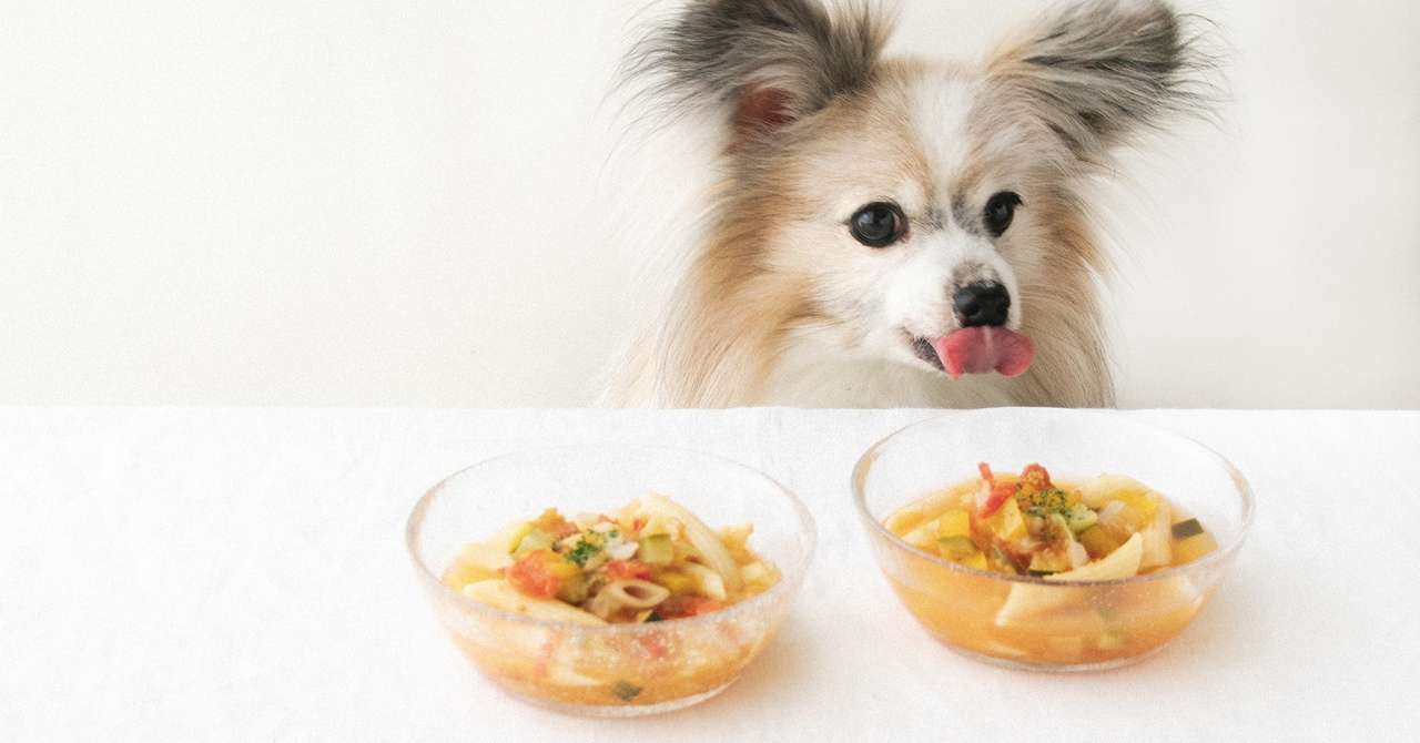 パスタと夏野菜を一緒に煮込む わんこのミネストローネ 手作り犬おやつレシピ 犬ごはん先生 いちかわあやこ オフィシャルブログ Powered By Ameba