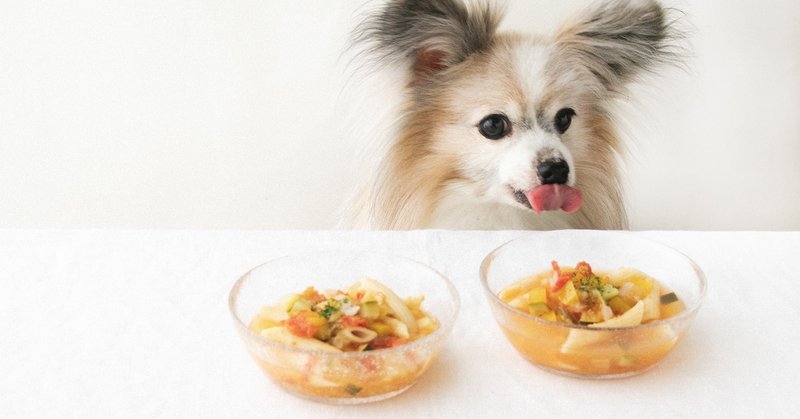お鍋ひとつ 煮込めばできる夏野菜ミネストローネ 手作り犬おやつレシピ 単品購入 いちかわあやこ 犬ごはん先生 Note