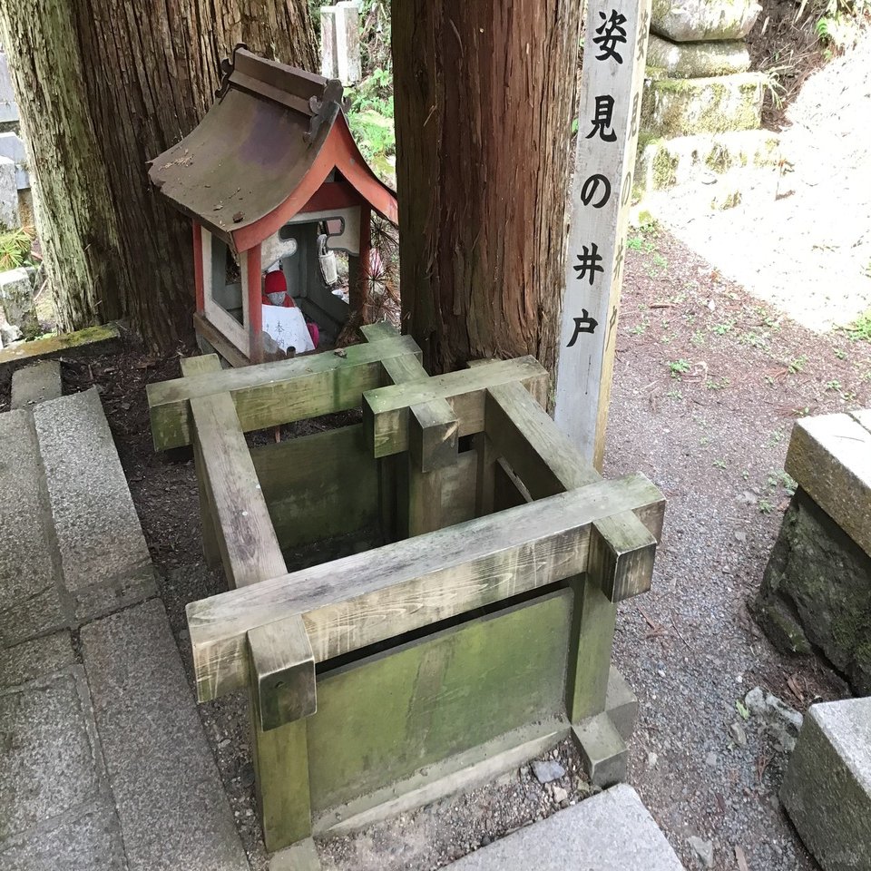 高野の七不思議｜高野山法徳堂/空海と高野山の魅力を独自の視点で伝え
