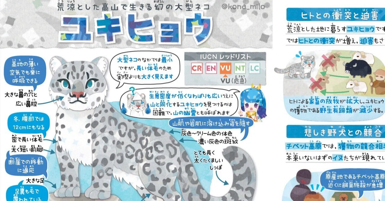 絶滅危機動物ファイル21「ユキヒョウ」｜キクチミロ