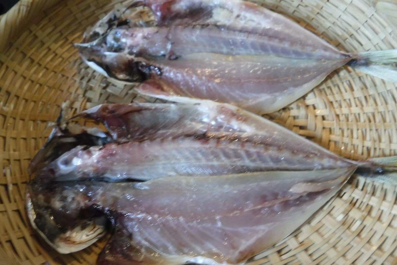 おうちで鯵の干物 いかの一夜干し 切り干しをつくる かなこ Note