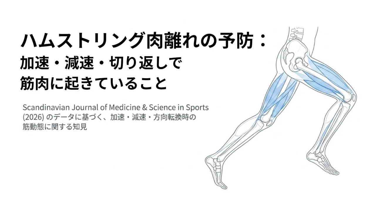 ハムストリング肉離れを防ぐ：加速・減速・切り返しで筋肉に起きていること