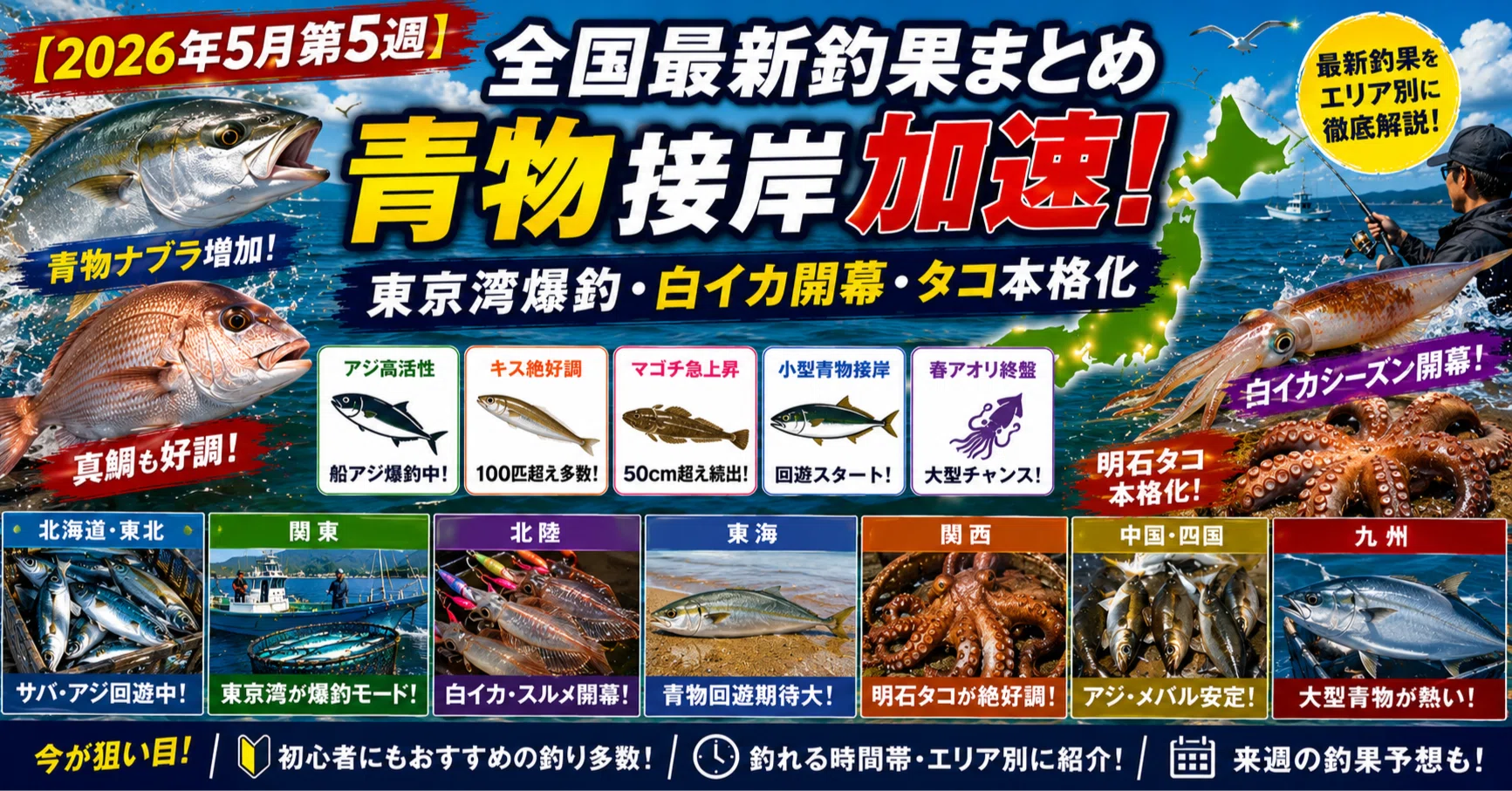 青物釣り引退 15000→13000へ値下げします 【公式通販】