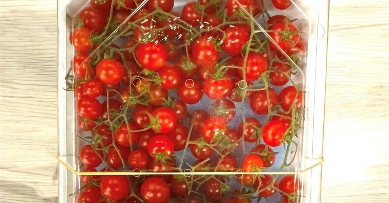 2026】満足感のある一品になる「リッチな味わい」「夏にいい」トマトお