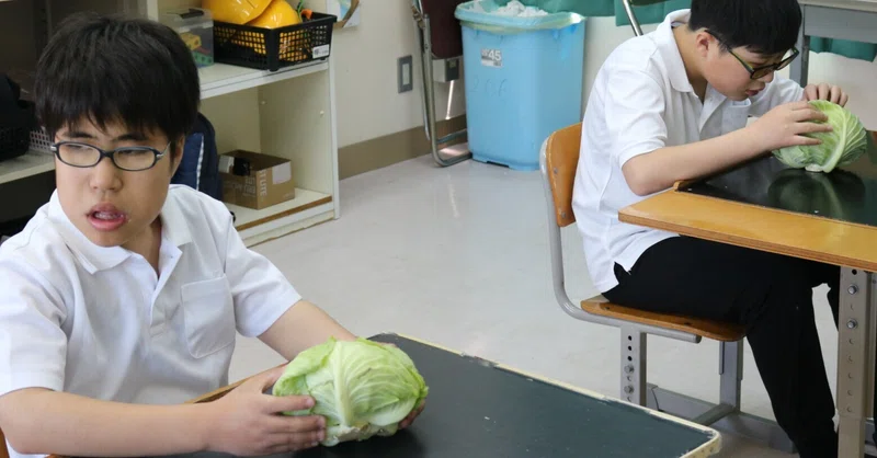 【和歌山盲】野菜の選び方
