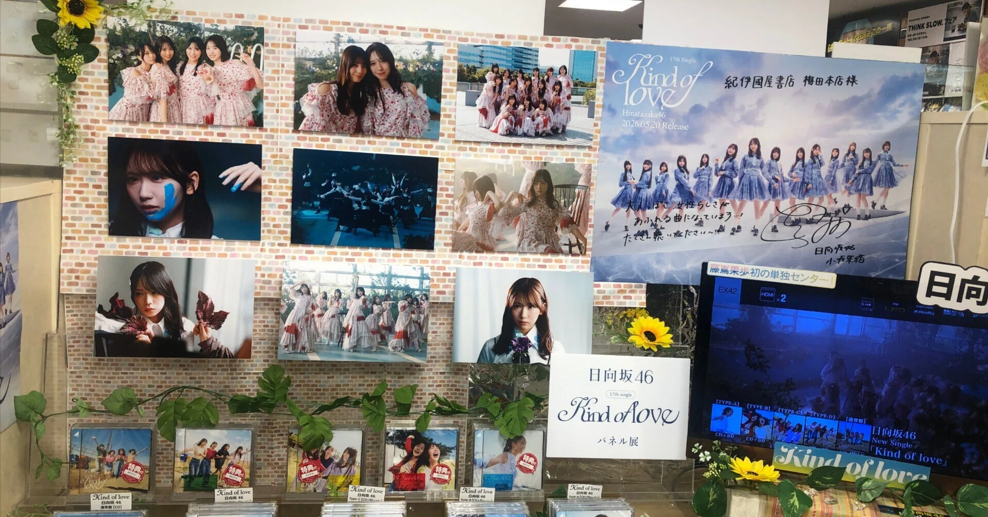 Kind of love パネル展巡り｜文松鶴